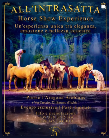 ALL'INTRASATTA': horse show experience